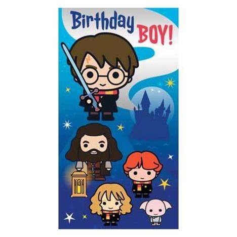 Harry Potter Birthday Boy Birthday Card £2.45